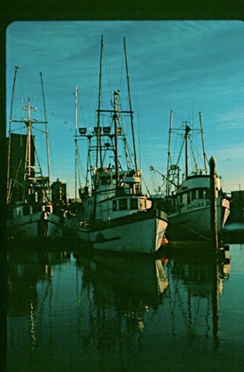 Westport2