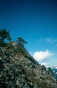 zLHbg6+wRHqn%%ZhNfwtKg_thumb_3891