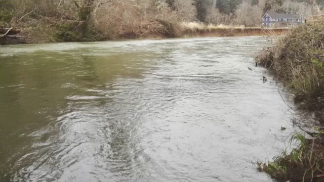 pj_flyfish_chap5---medium-2